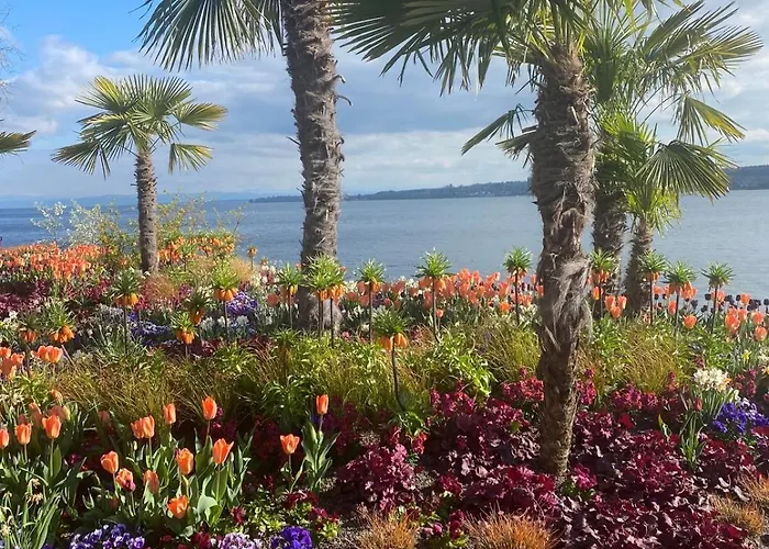 Panoramic With And Alpine Views Apartment